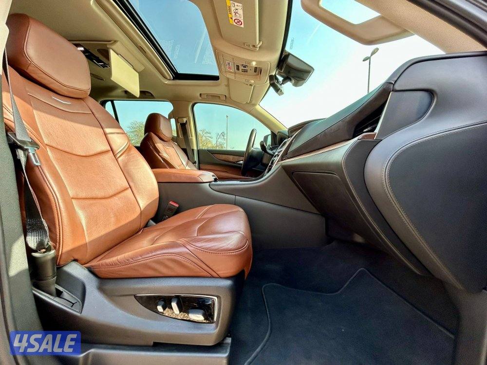 لاكجاري سبورت

عداد : 15911