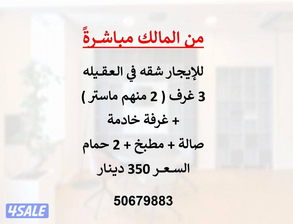 للايجار شقة في العقيله (من المالك مباشرةً)0