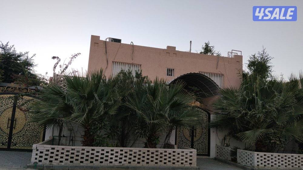 للبيع بيت زاوية شارعين وبيت بطن وظهر وبيت شارع واحد بمنطقة ام الهيمان10