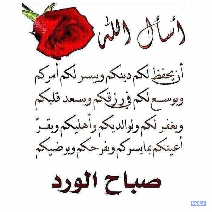 للايجار شقه بالفنيطيس ٣غرف ٣حمام وصاله ومطبخ وغرفة خ0