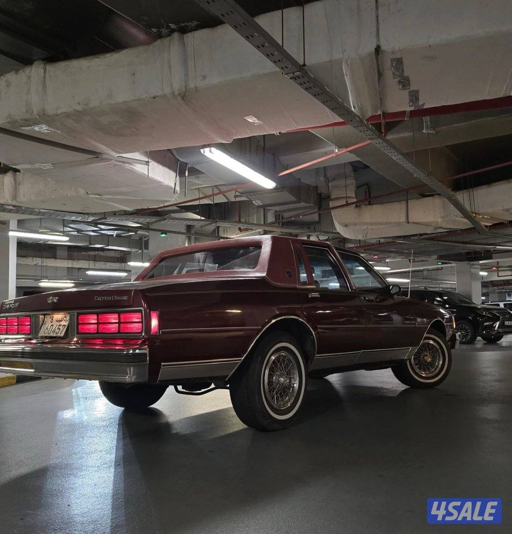 كابرس 90 عنابي2