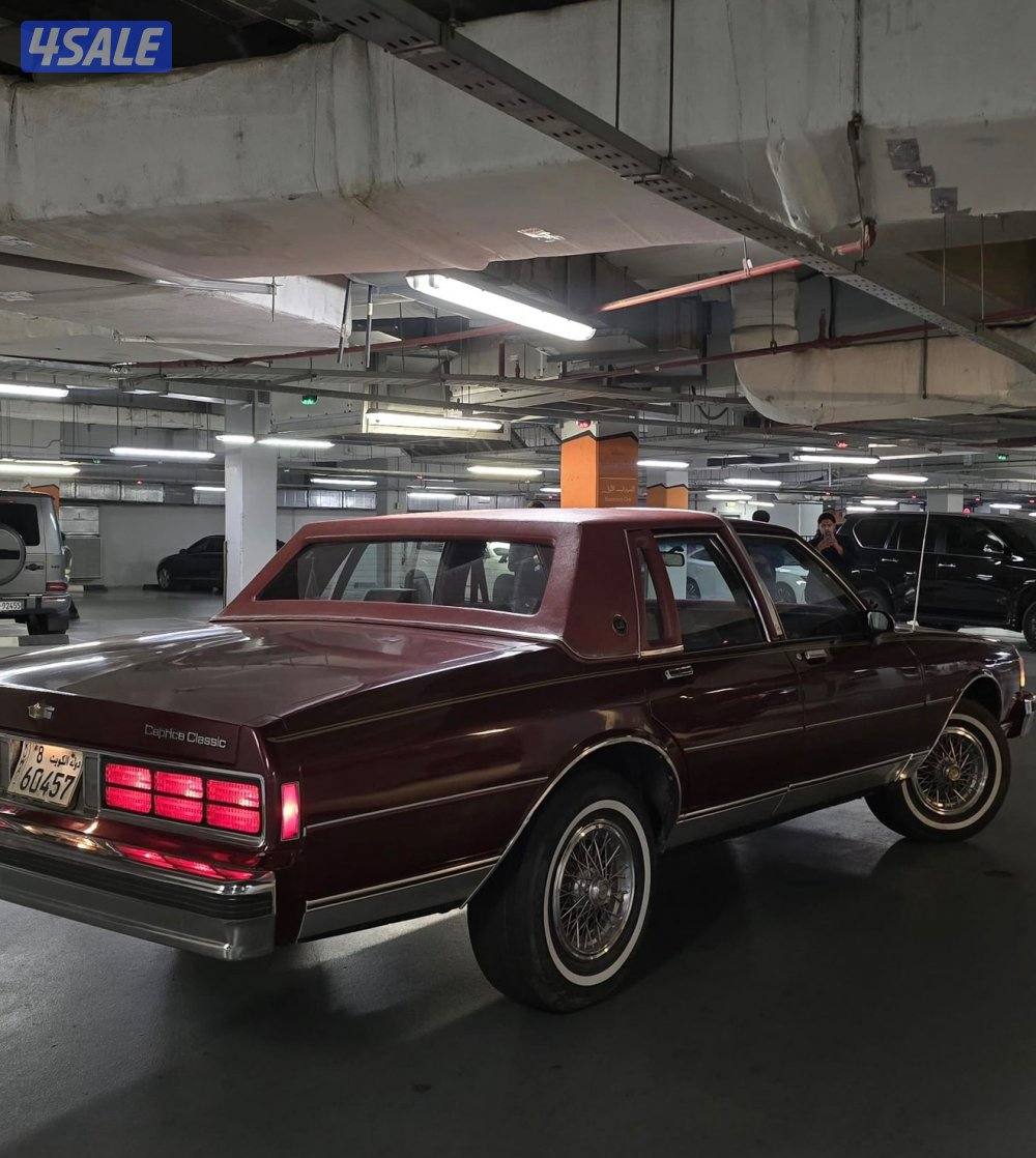 كابرس 90 عنابي3