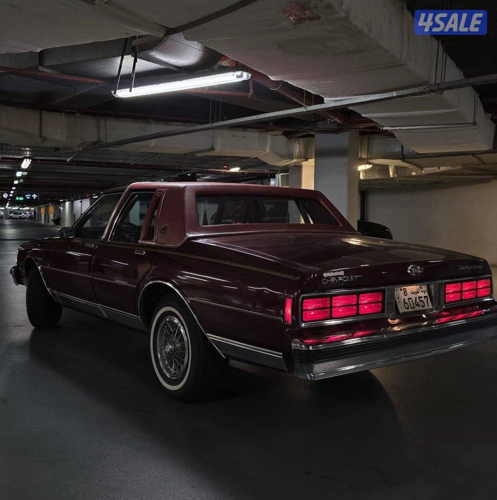 كابرس 90 عنابي4