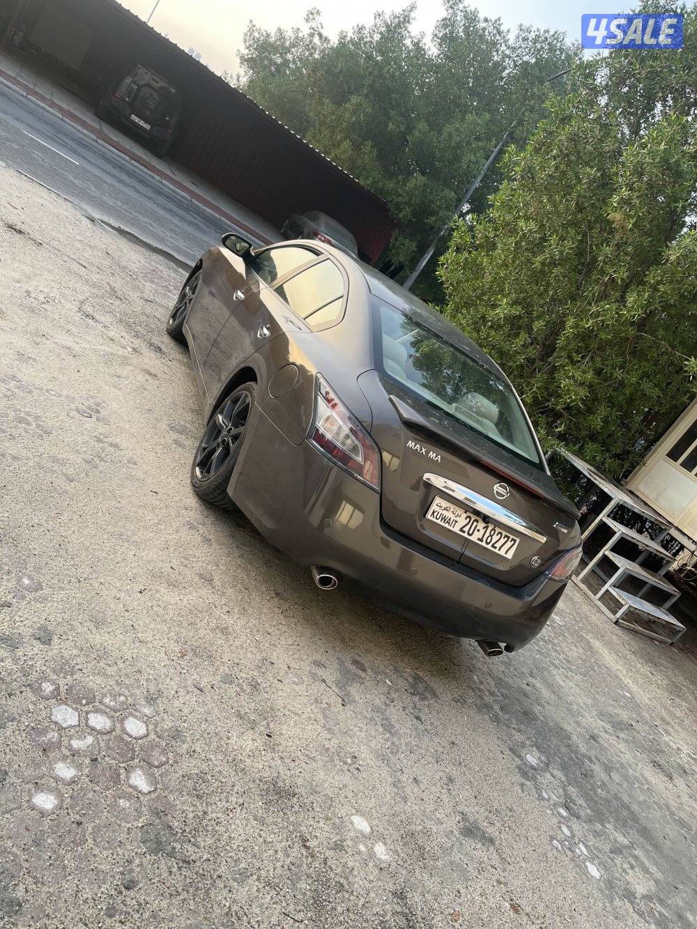 للبيع ماكسيما1