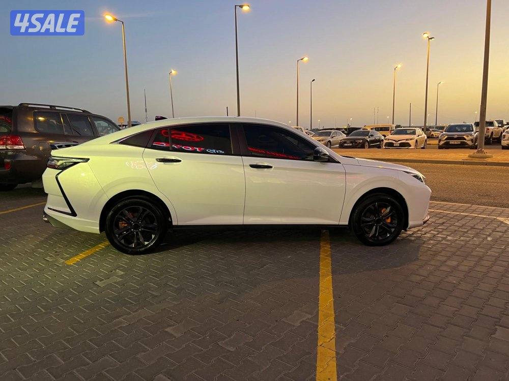 🏴DFM 30 صبغ وكاله 2026 تحت الكفاله فحص شامل🏴7