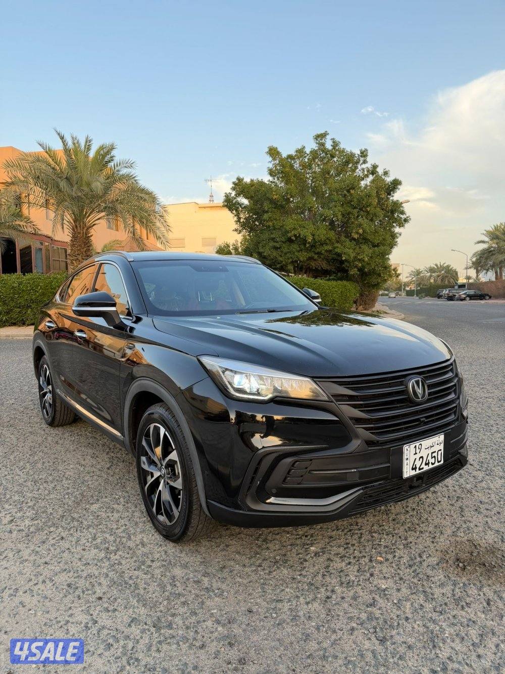 صبغ الوكاله كامل المواصفات1