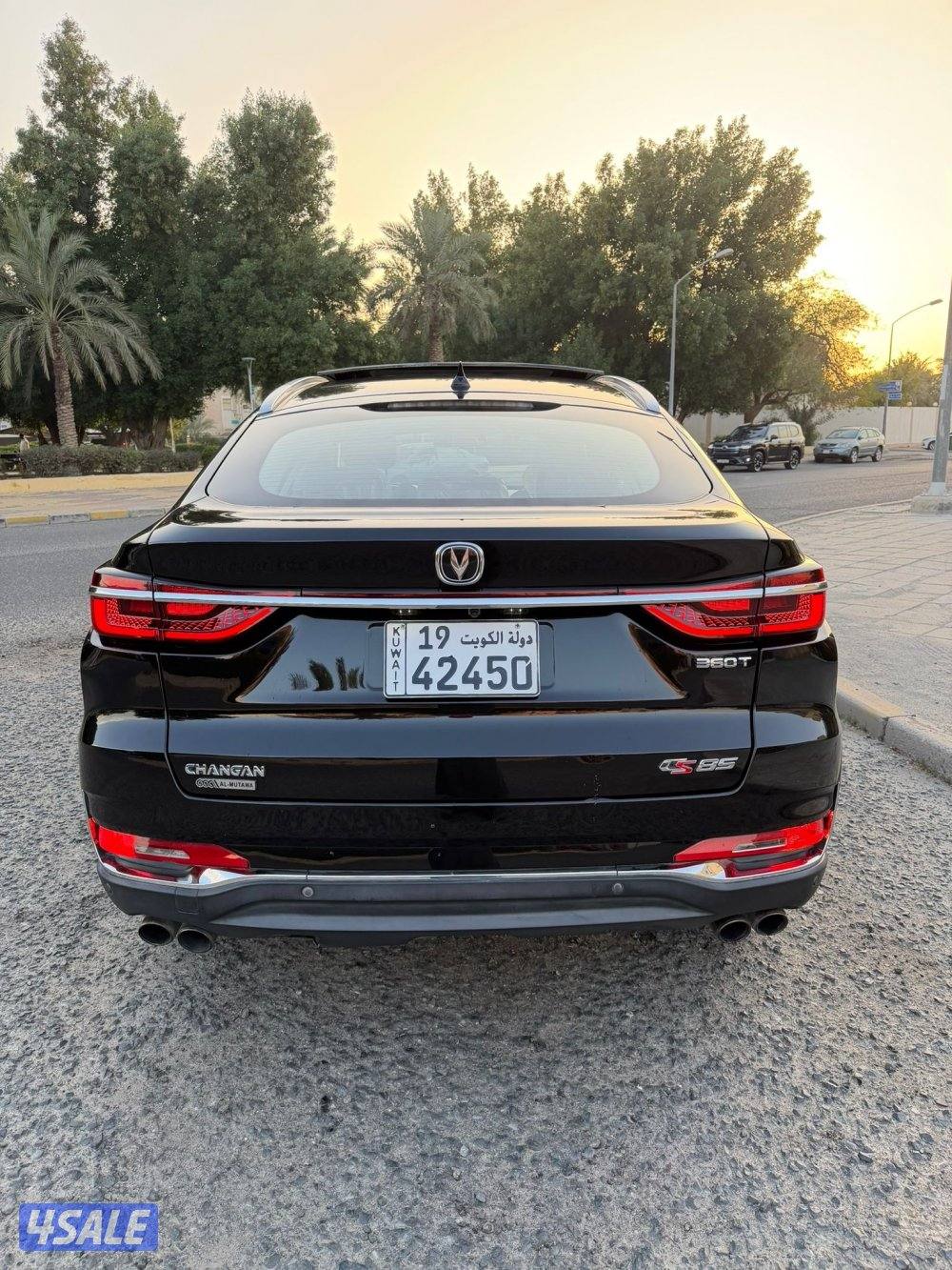 صبغ الوكاله كامل المواصفات9