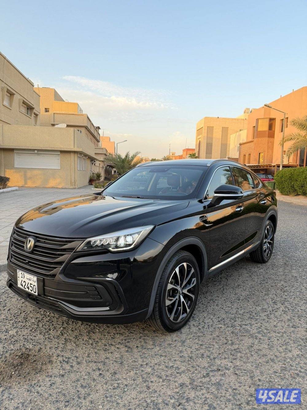 صبغ الوكاله كامل المواصفات12