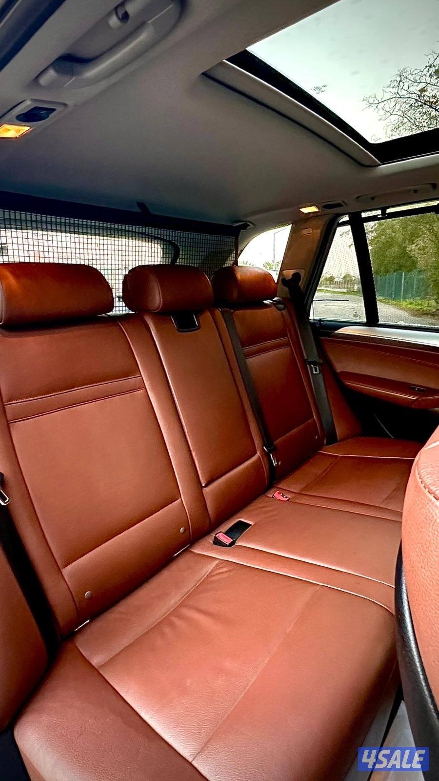 الشعب البحري8