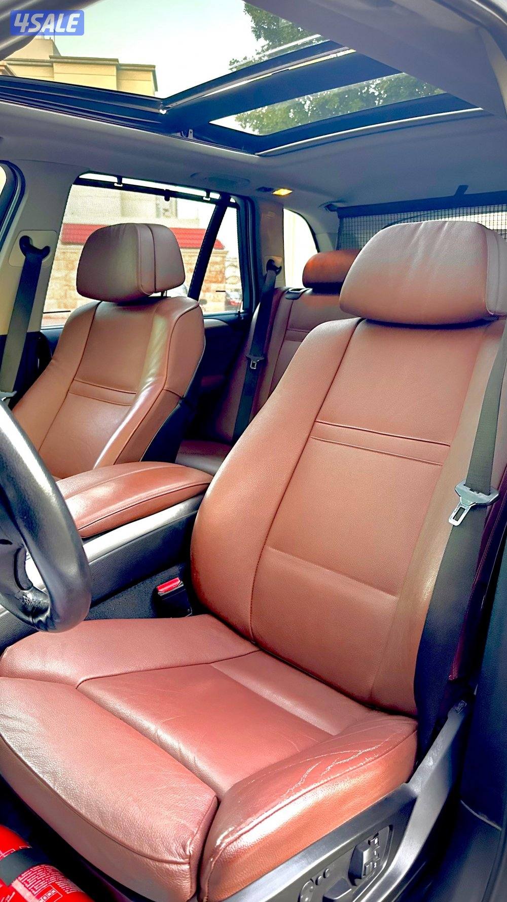 الشعب البحري11