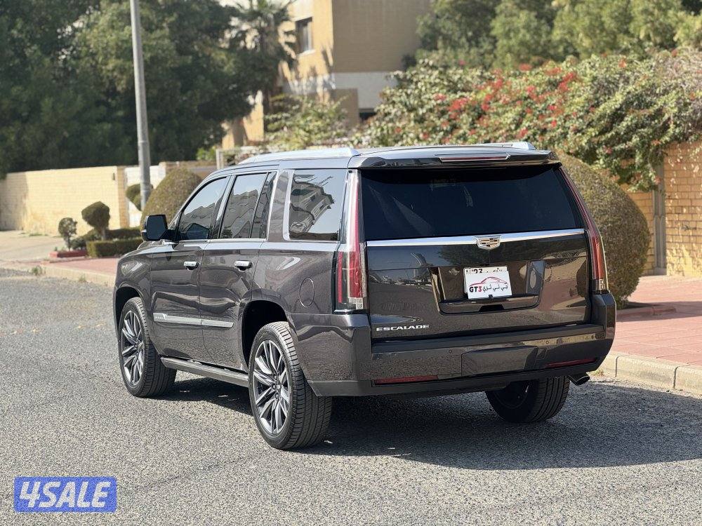 اسكاليد بلاتينيوم ٢٠١٦3