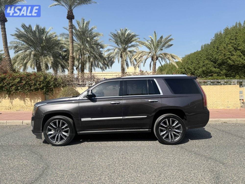 اسكاليد بلاتينيوم ٢٠١٦6