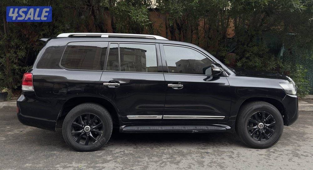 اسود مجدد 20171