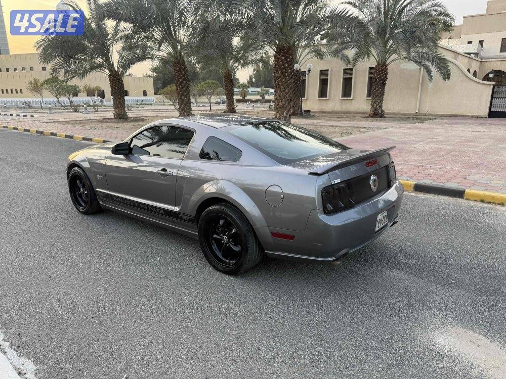 شرط الفحص والنظافه1