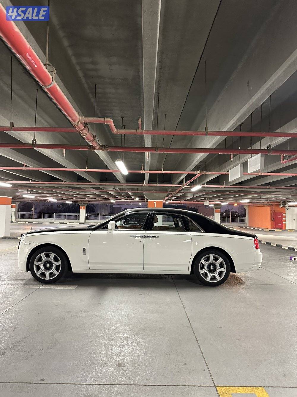 روز رويس جوست0