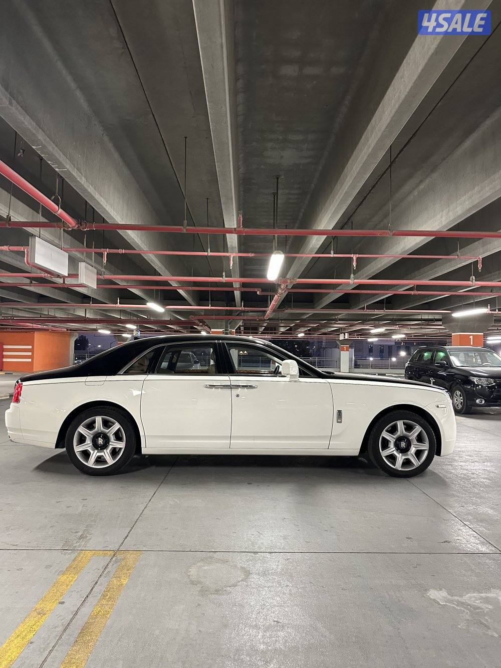 روز رويس جوست1