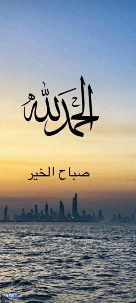 مندوب مبيعات سوري ابحث عن عمل خبره في الجمعيات والاسواق0