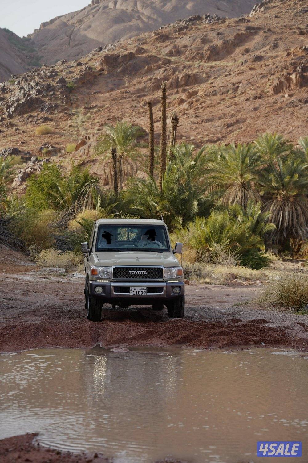 للبيع شاص ٢٠١٠ رفرف صبغ الوكالة5