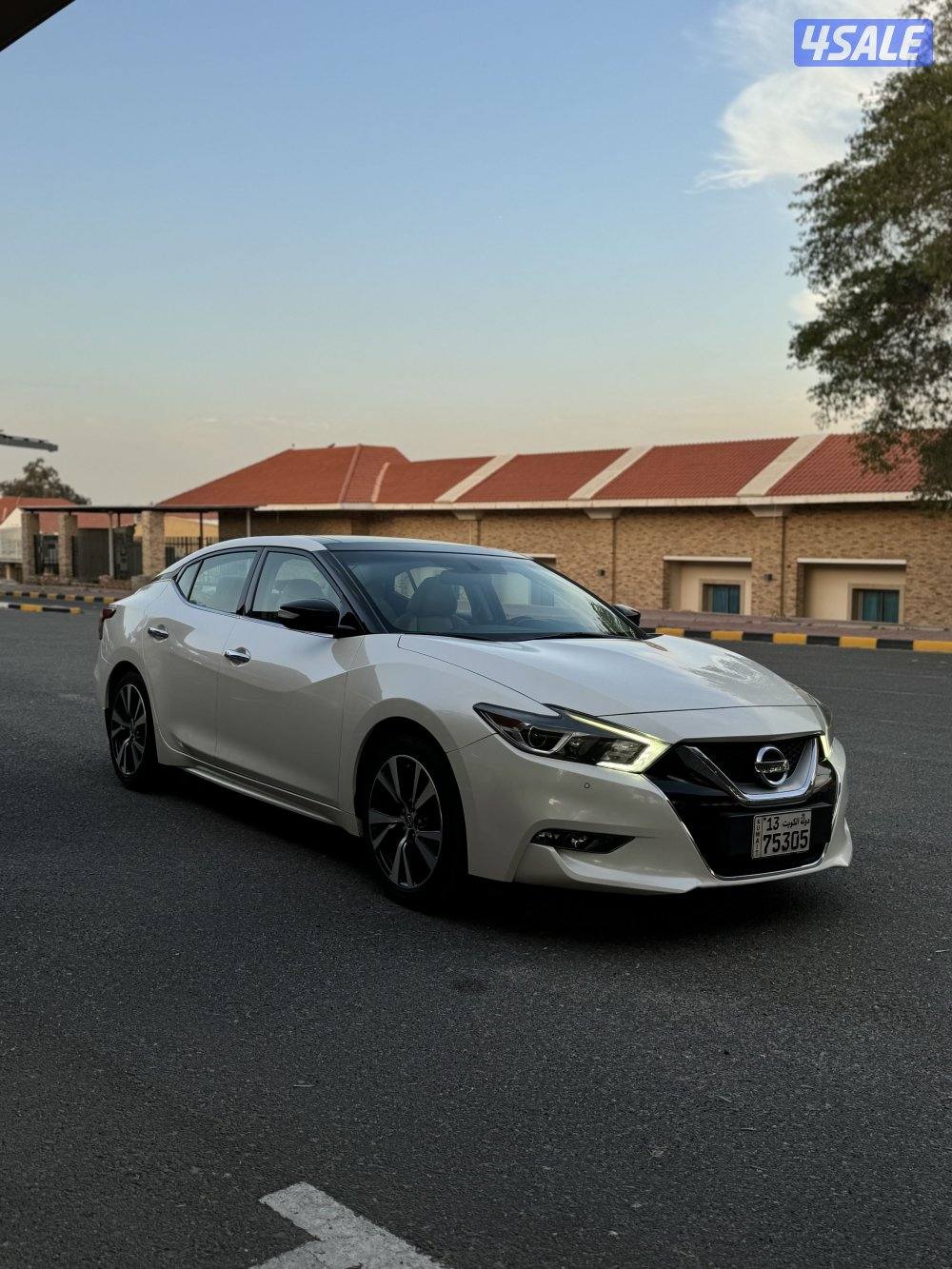 للبيع مكسيما موديل 2016 V61