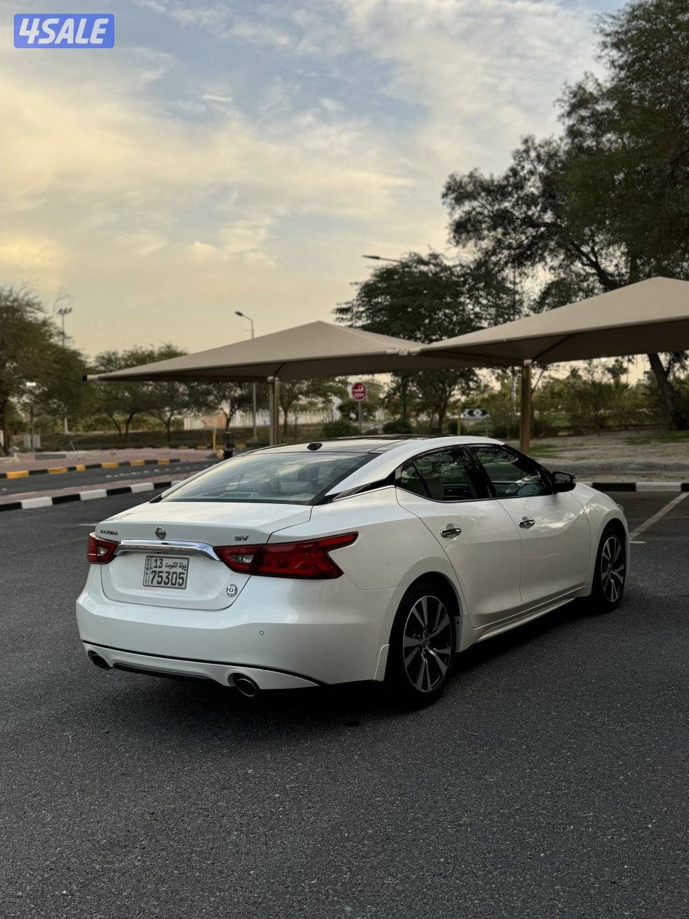 للبيع مكسيما موديل 2016 V62