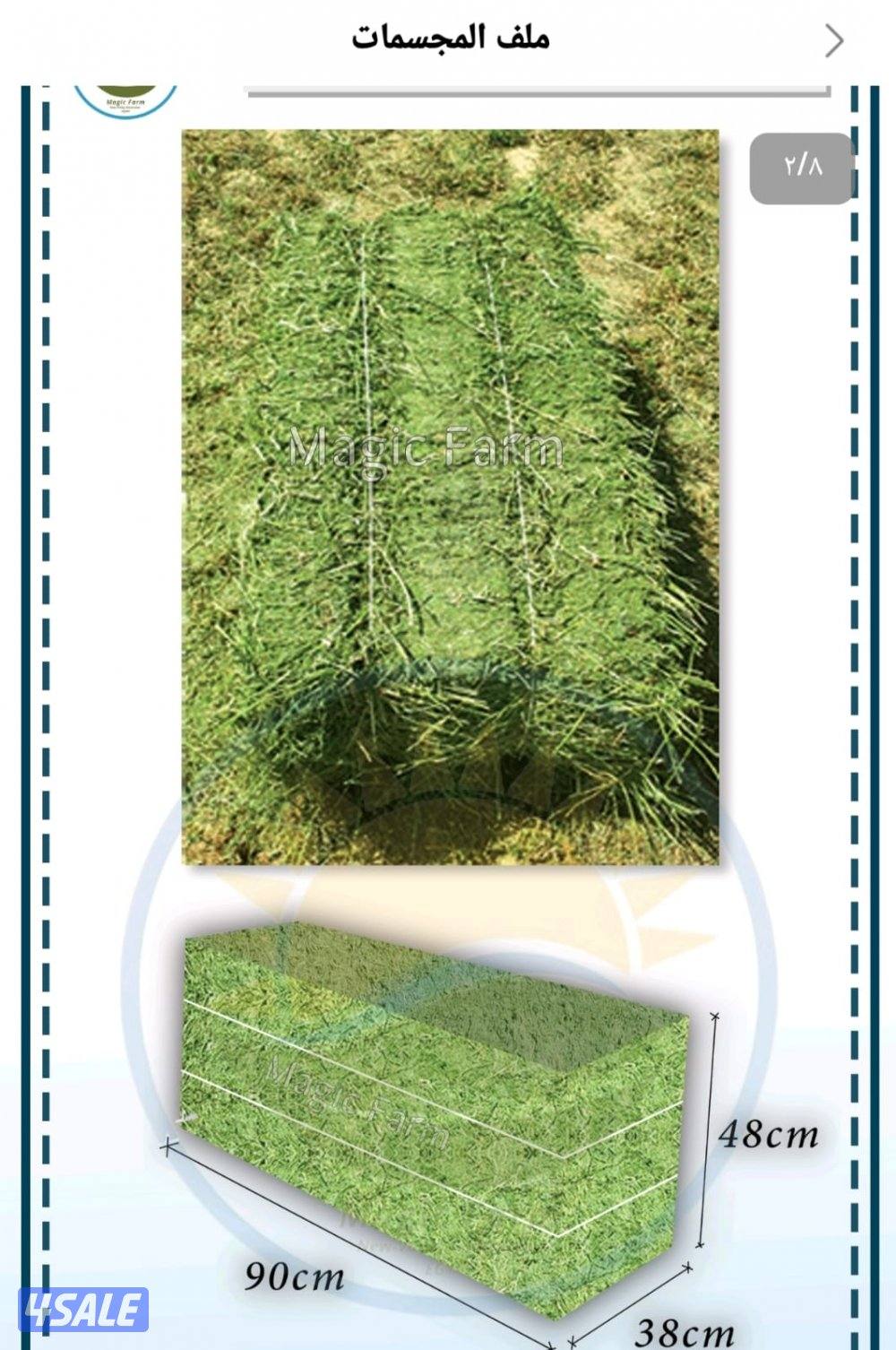 برسيم  حجازي ربطات 18 كيلو.. بسعر اقل من السوق1