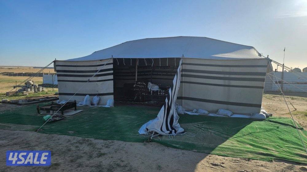 للبيع بيت شعر ابيض جديد0