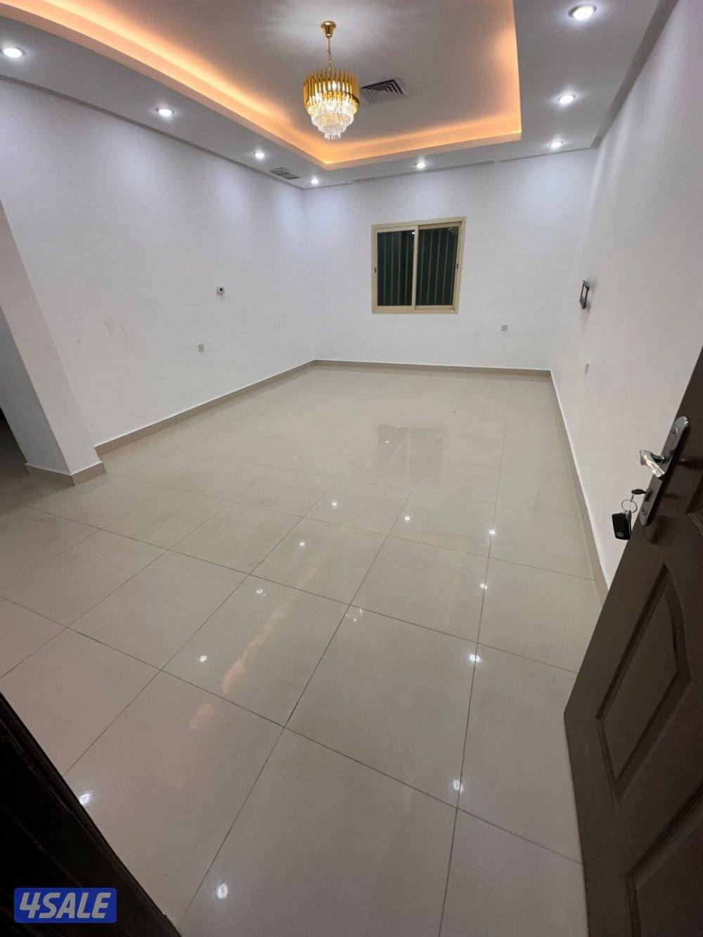 صباح الناصر2