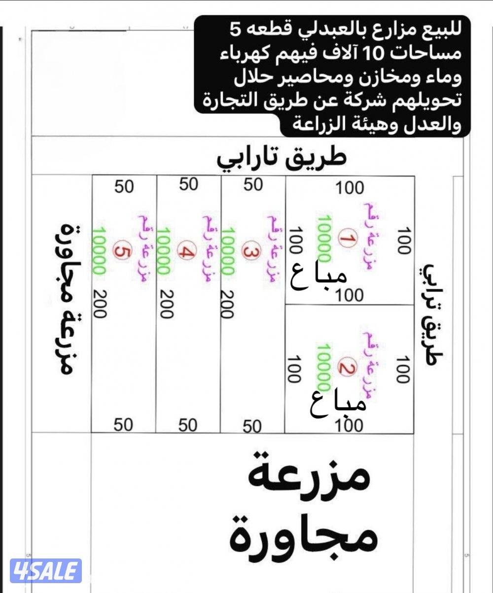 للبيع مزراع في العبدلي 10 الف0
