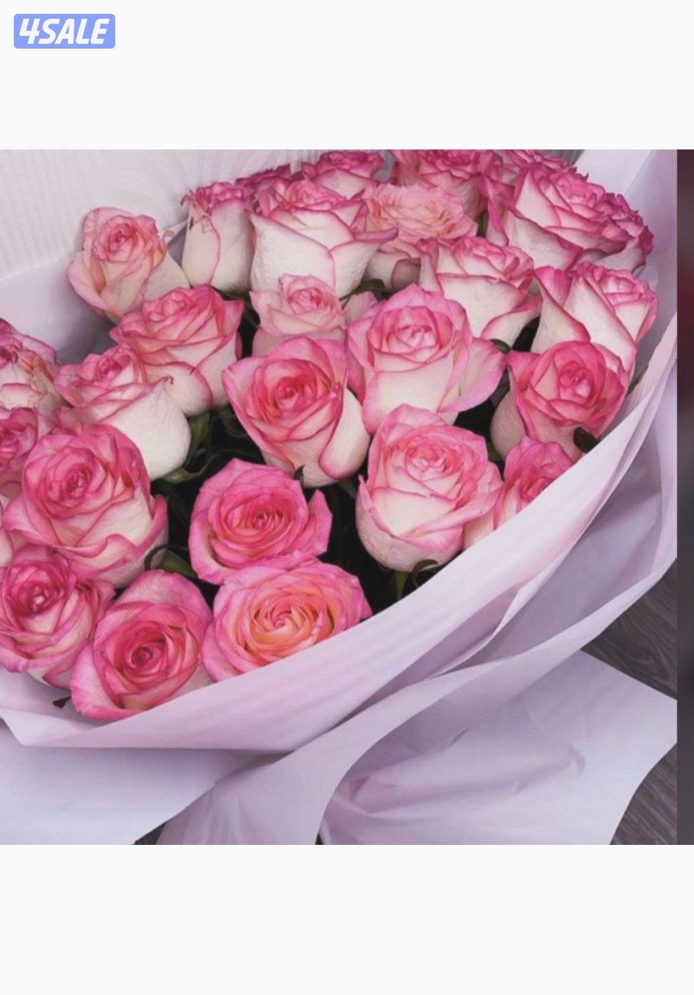 ابحث عن عمل اداري 💕0