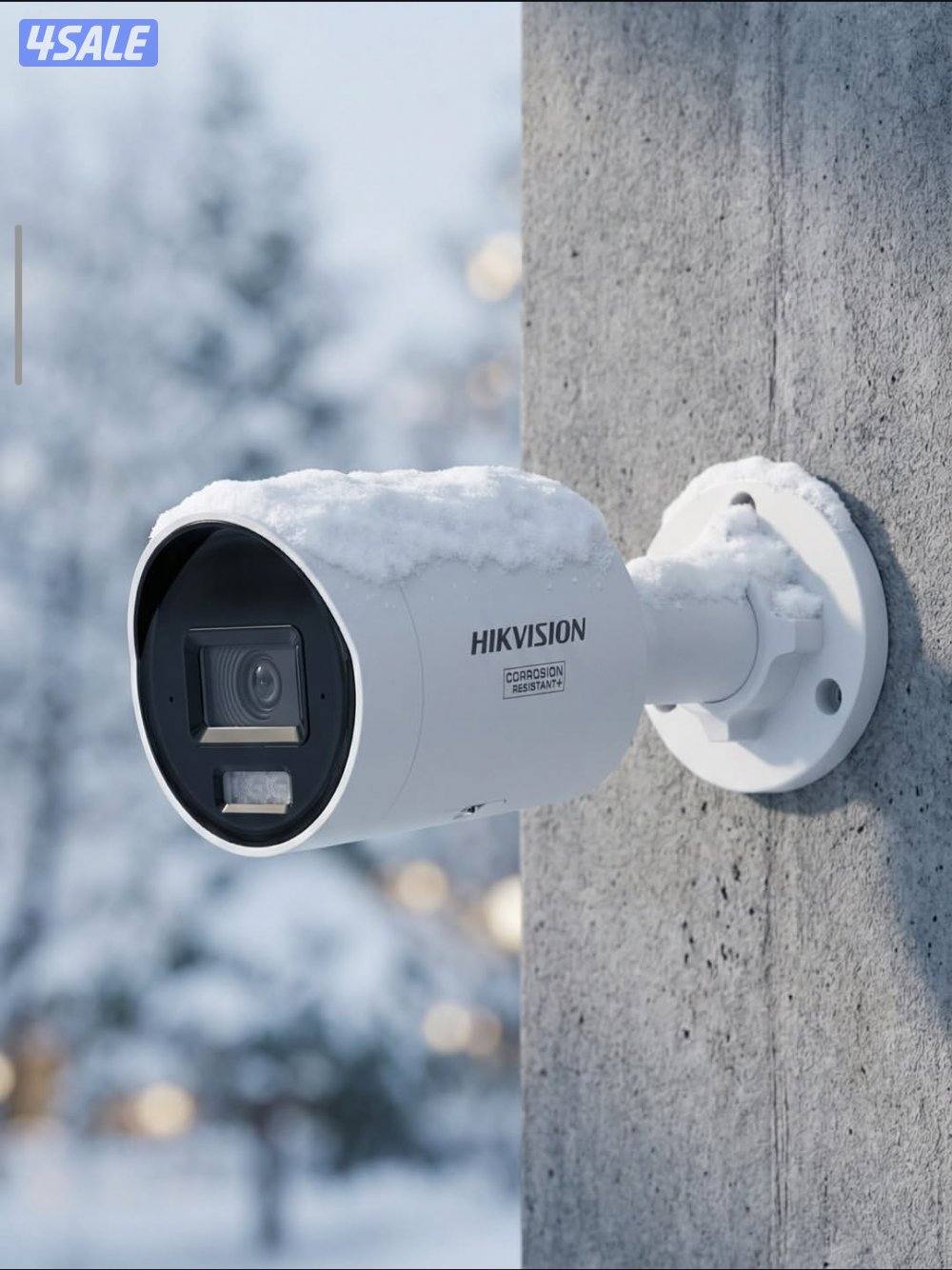 الصليبيخات1