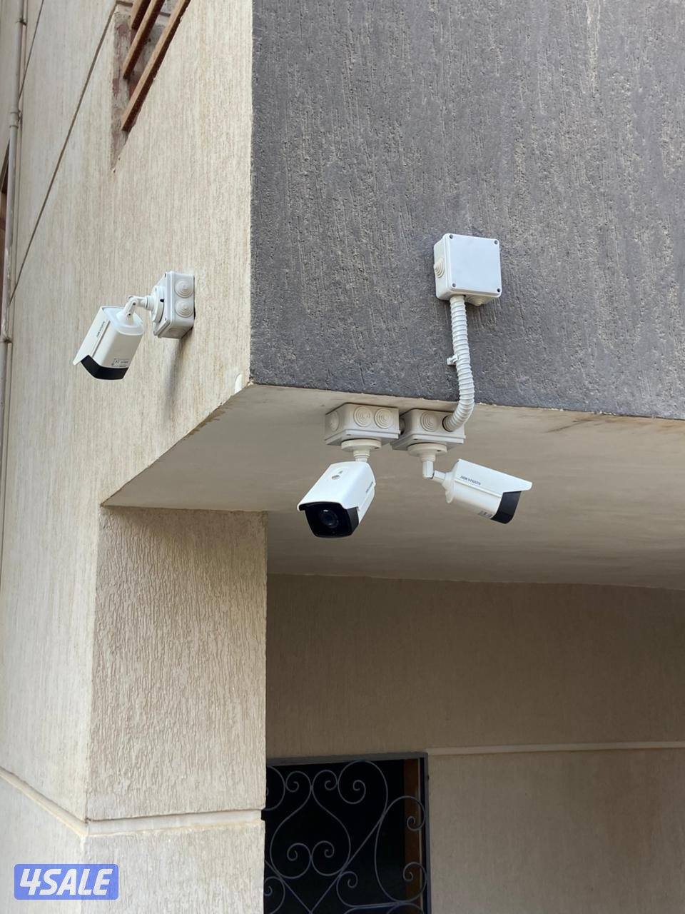 الصليبيخات4