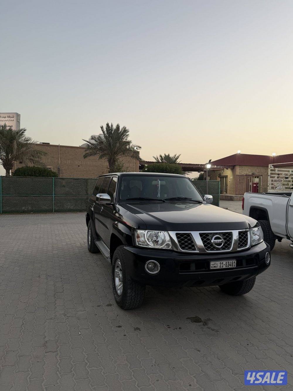 سفاري وارد المسعود6