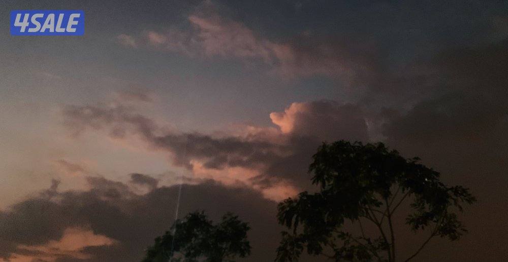 شاب مصري من مواليد الكويت0