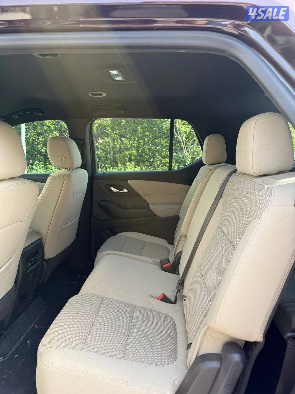 2022 عداد23 صبغ وكالة4