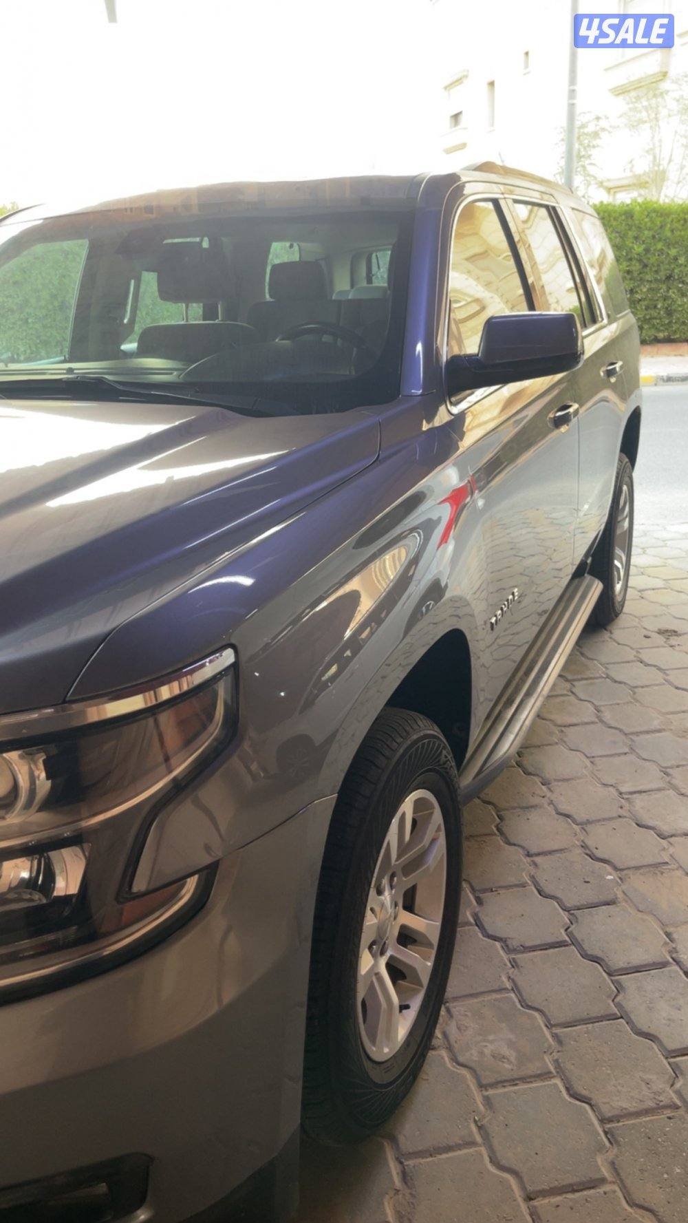 تاهو الغانم 20181