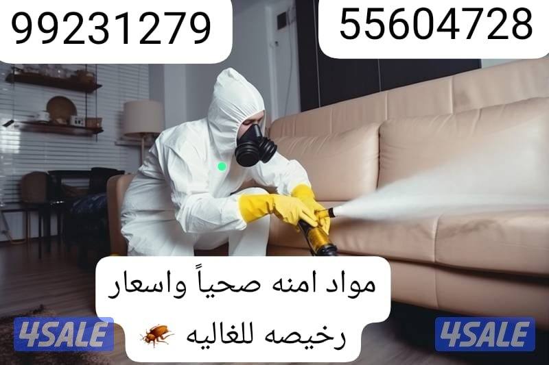 مكافحه حشرات وقوارض خدمه متميزه ودقه في العمل 🪳4