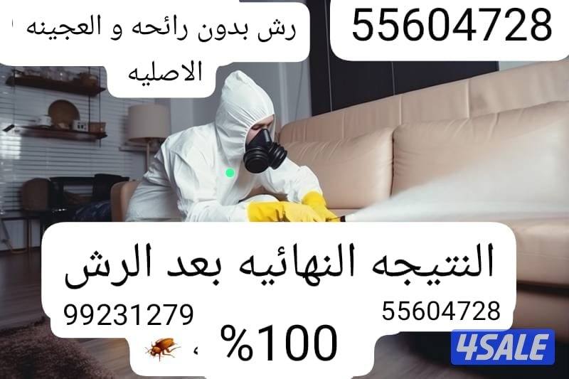 مكافحه حشرات وقوارض خدمه متميزه ودقه في العمل 🪳3