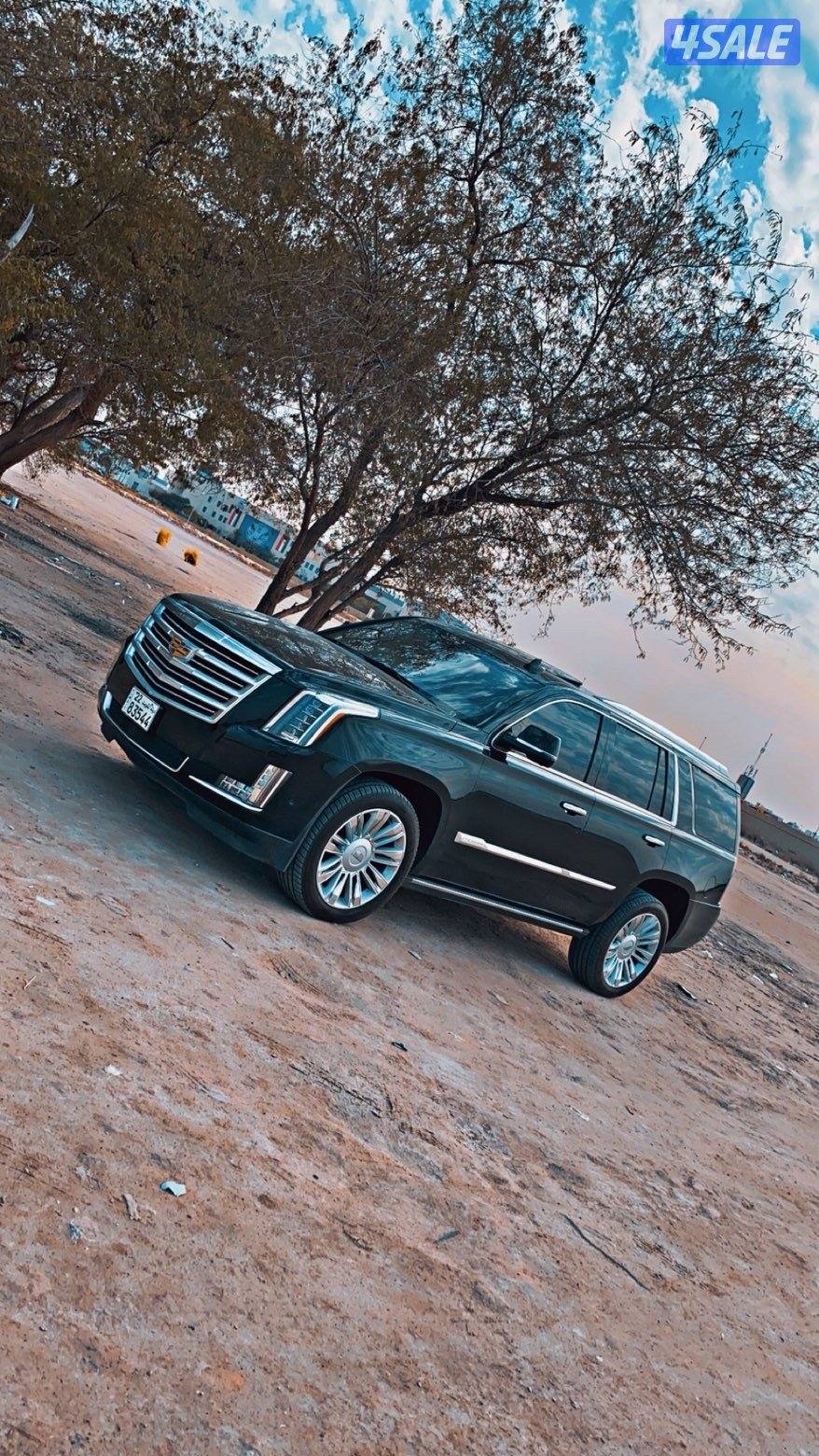 اسكليد بلاتينيوم0