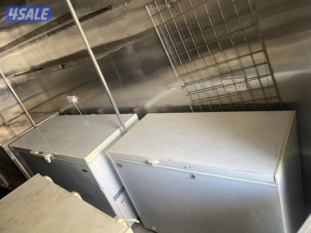 هاف لوري فوتون5