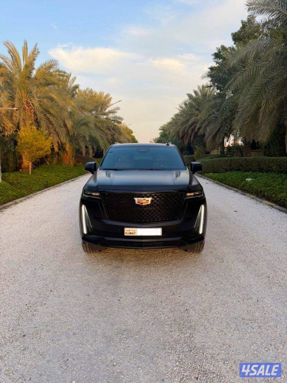 بريميوم 20212