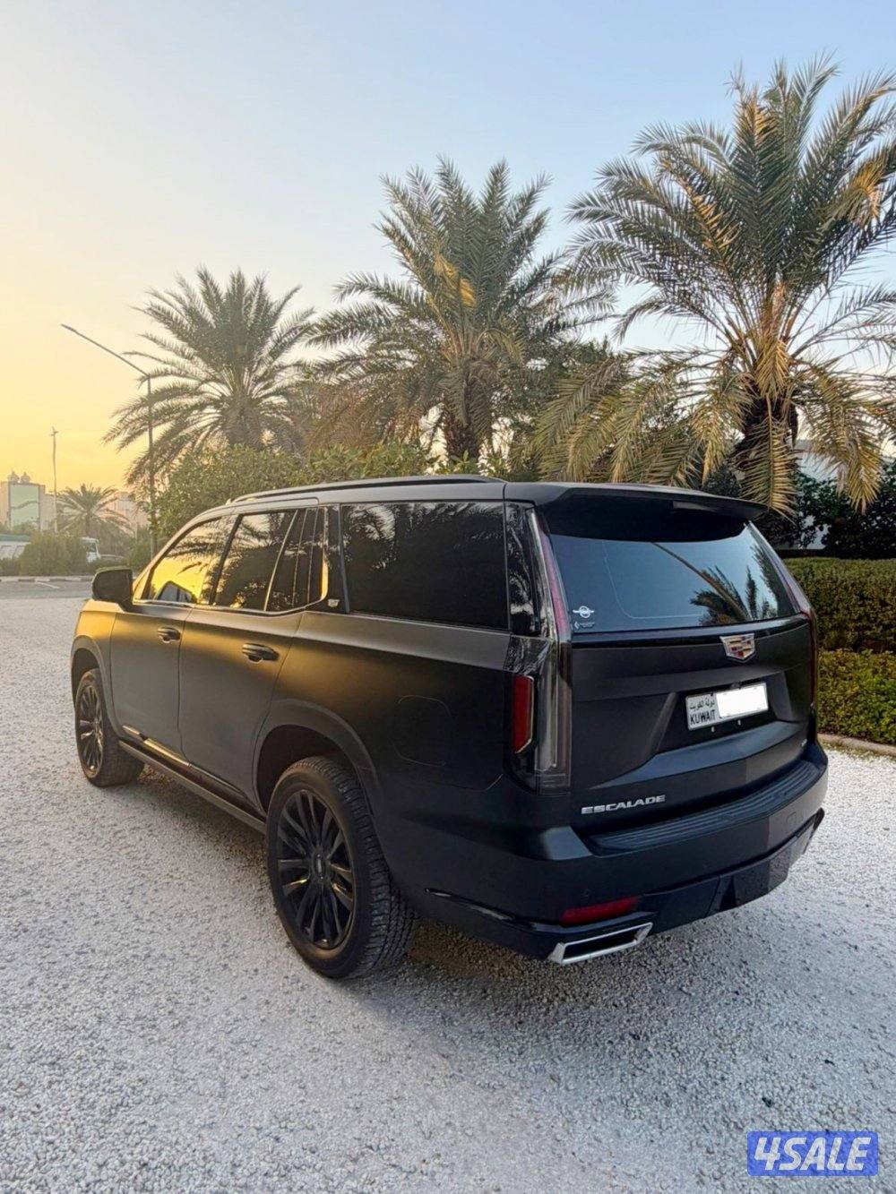 بريميوم 20214