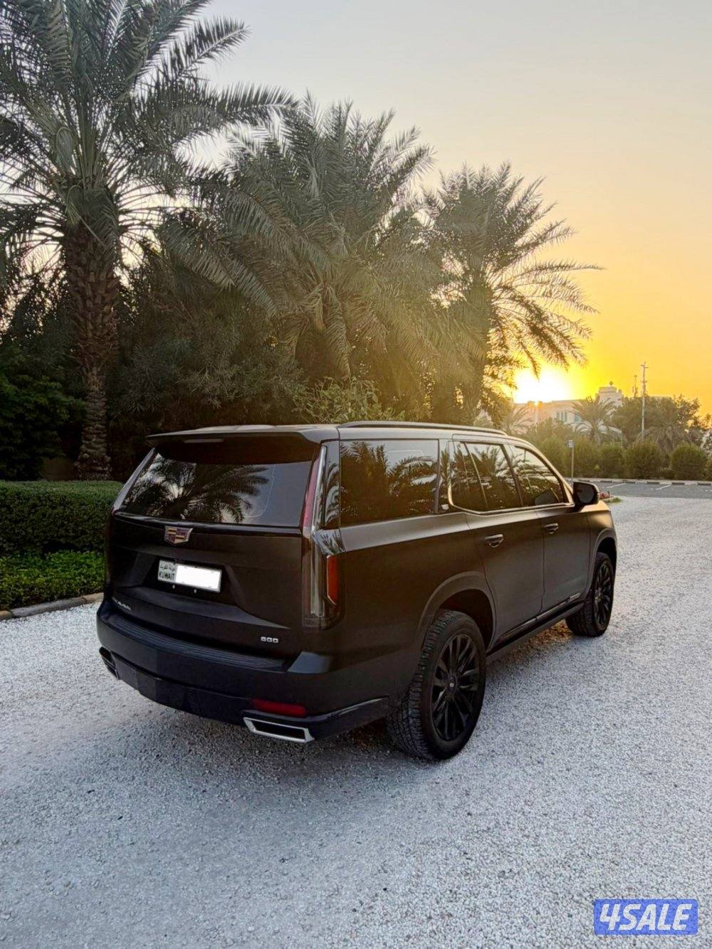 بريميوم 20215