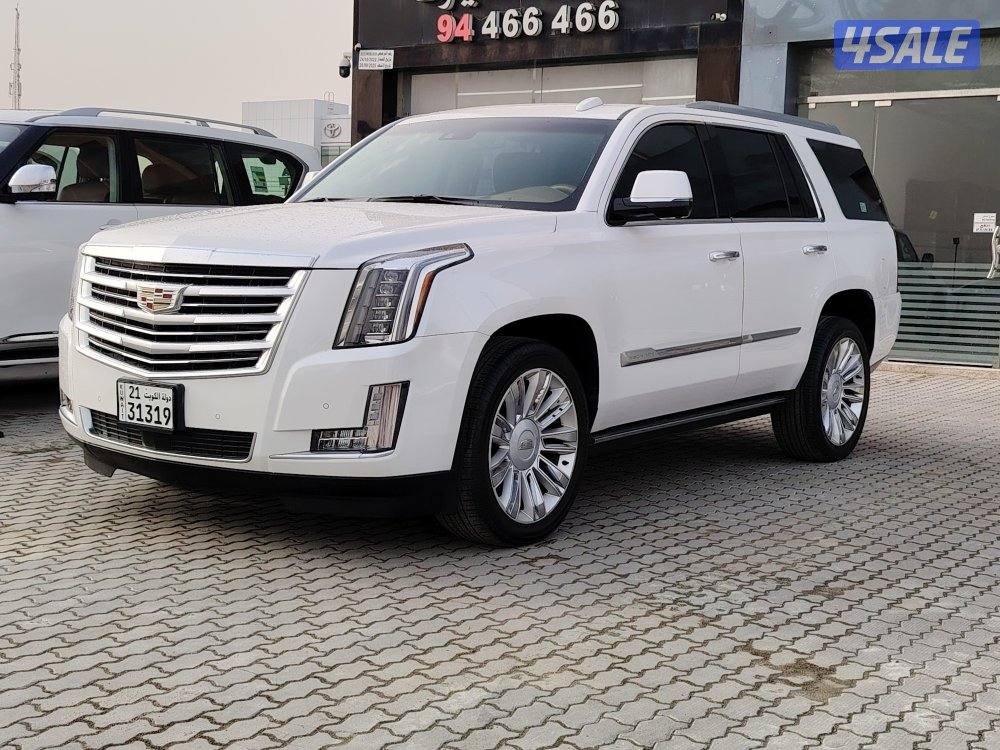 سكاليد بلاتينيوم2