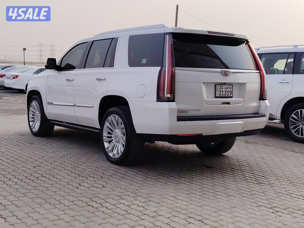 سكاليد بلاتينيوم1