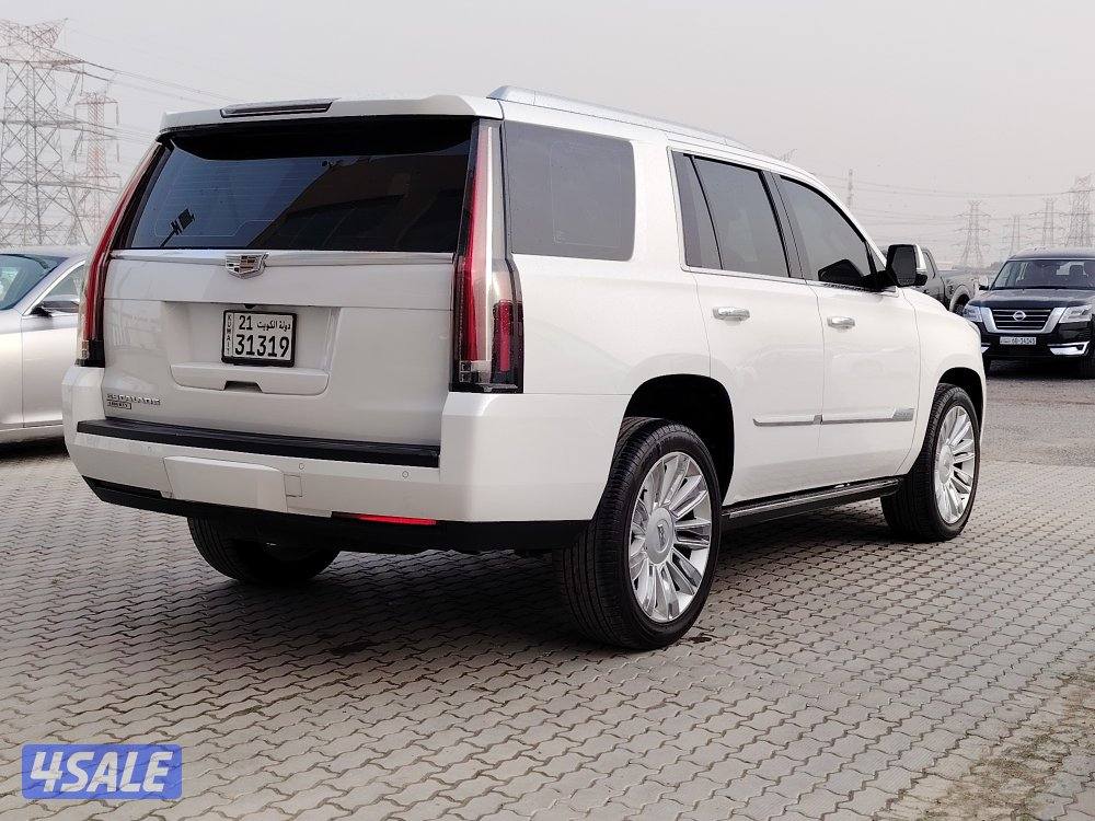 سكاليد بلاتينيوم3