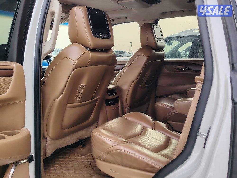 سكاليد بلاتينيوم5