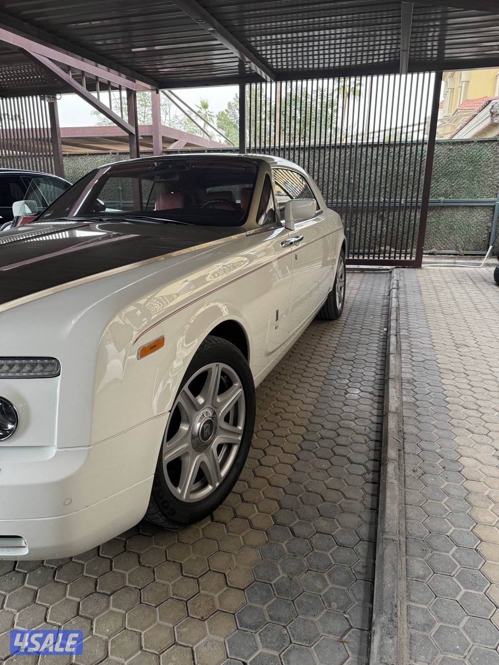 وارد الامارات7