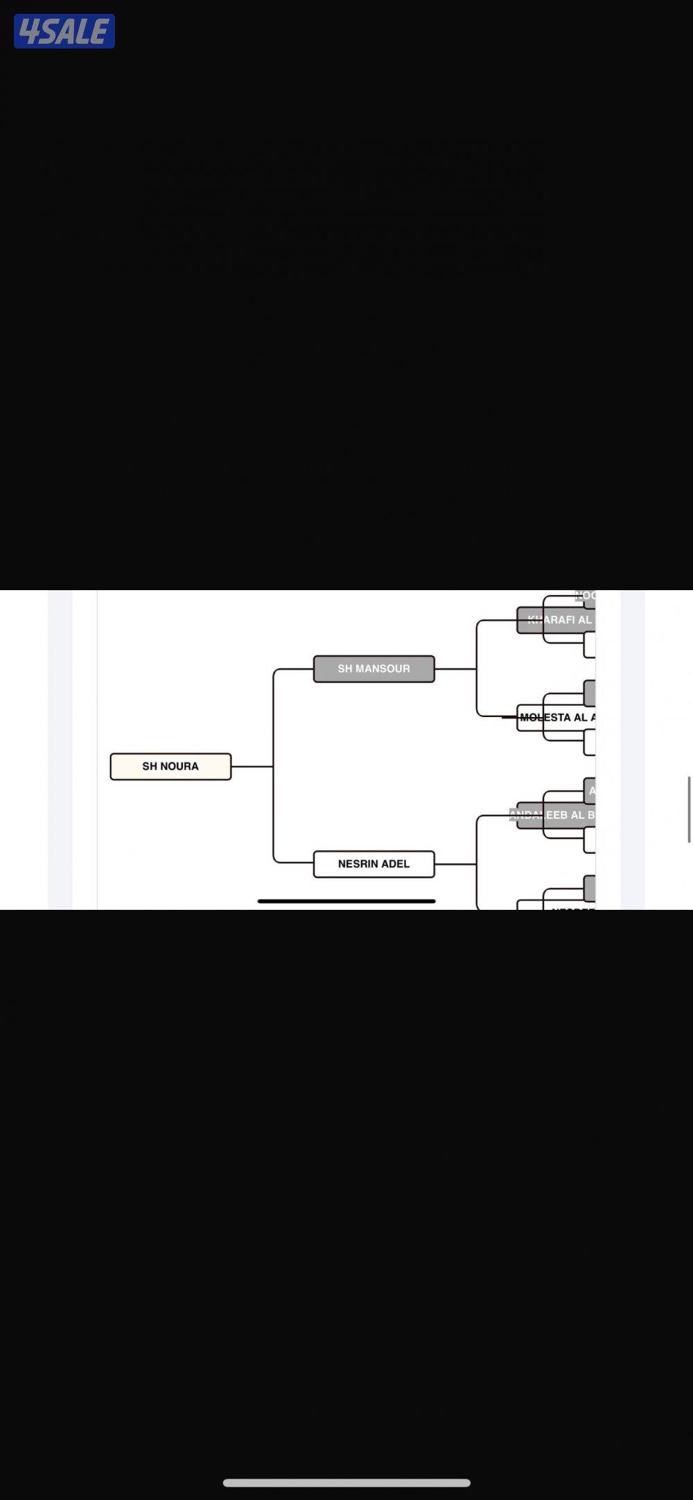 مهره مصرية2