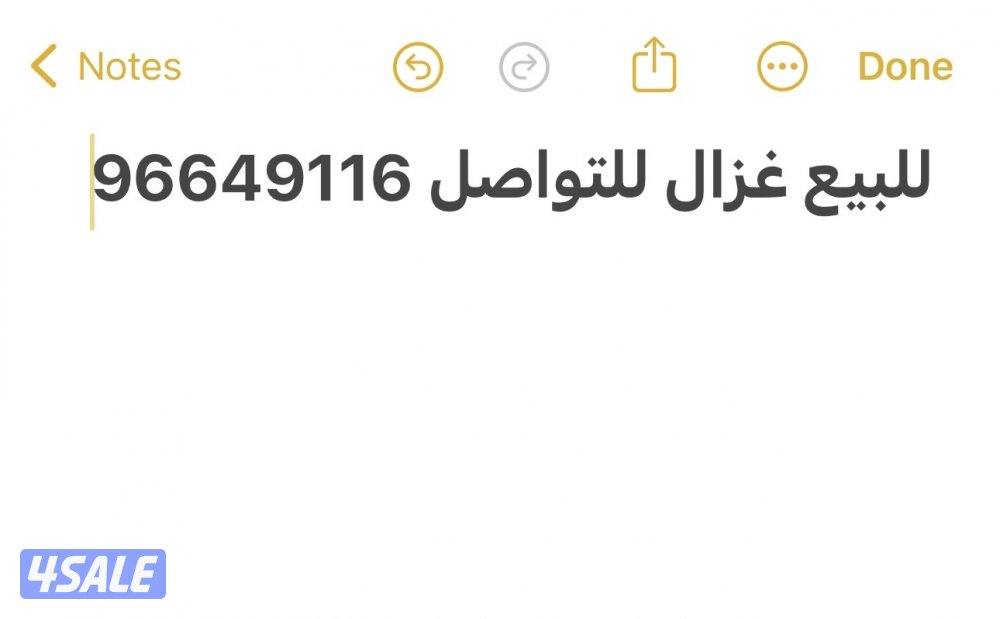 غزال للبيع0