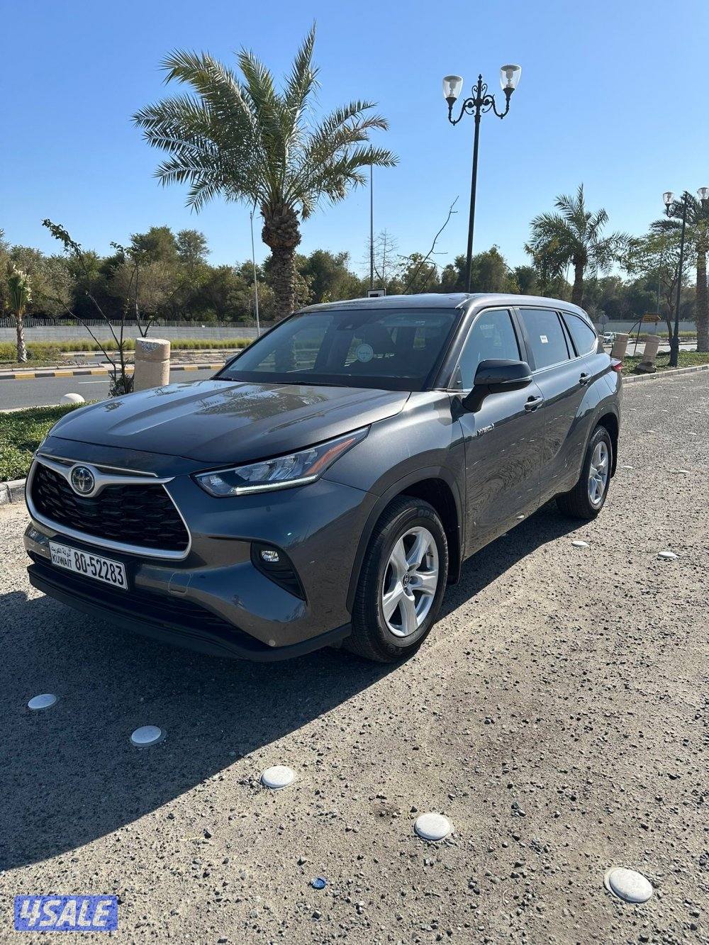 هايلاندر هايبرد0